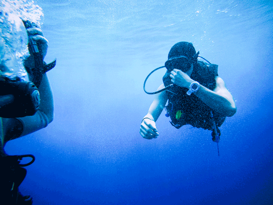 Nurkowanie w Tajlandii cena