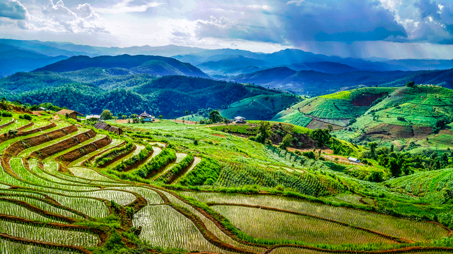 Chiang Mai Culture